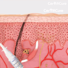 Hair Growth Serum 2 – Great Stores